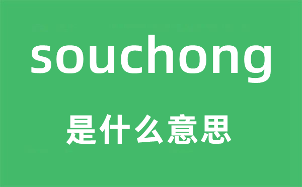 souchong是甚么意义,souchong怎样读,中文翻译是甚么