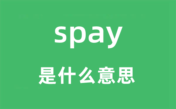 spay是甚么意义,spay怎样读,中文翻译是甚么