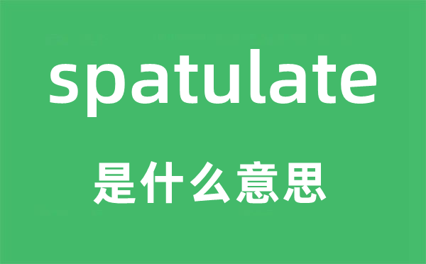spatulate是甚么意义,spatulate怎样读,中文翻译是甚么