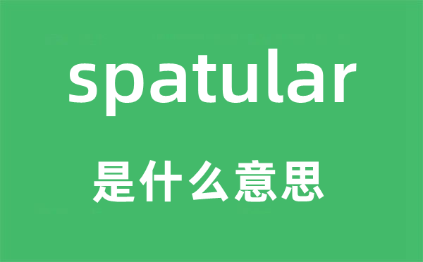 spatular是甚么意义,spatular怎样读,中文翻译是甚么