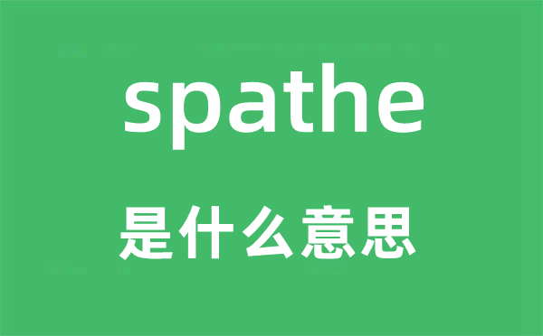 spathe是甚么意义,spathe怎样读,中文翻译是甚么