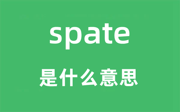 spate是甚么意义,spate怎样读,中文翻译是甚么