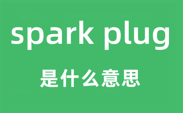 spark plug是甚么意义,中文翻译是甚么