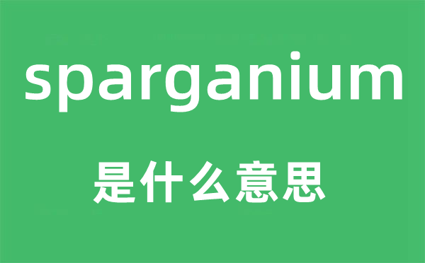 sparganium是甚么意义,sparganium怎样读,中文翻译是甚么