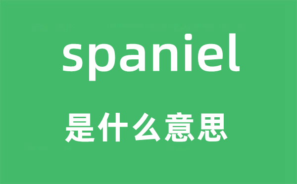 spaniel是甚么意义,spaniel怎样读,中文翻译是甚么