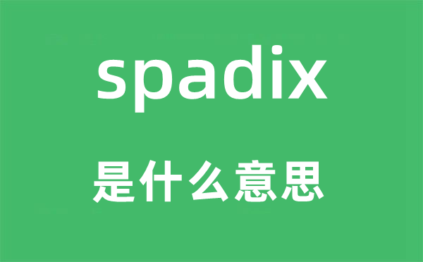 spadix是甚么意义,spadix怎样读,中文翻译是甚么