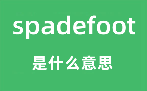 spadefoot是甚么意义,spadefoot怎样读,中文翻译是甚么