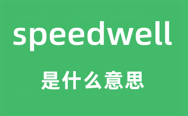 speedwell是甚么意义,speedwell怎样读,中文翻译是甚么