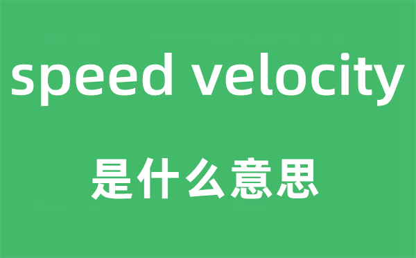 speed velocity是甚么意义,中文翻译是甚么
