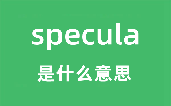 specula是甚么意义,specula怎样读,中文翻译是甚么
