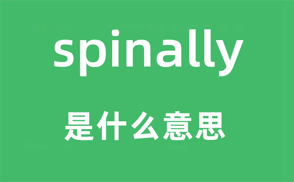 spinally是甚么意义,spinally怎样读,中文翻译是甚么