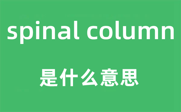 spinal column是甚么意义,中文翻译是甚么