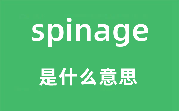 spinage是甚么意义,spinage怎样读,中文翻译是甚么