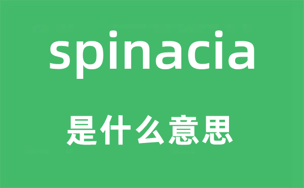 spinacia是甚么意义,spinacia怎样读,中文翻译是甚么