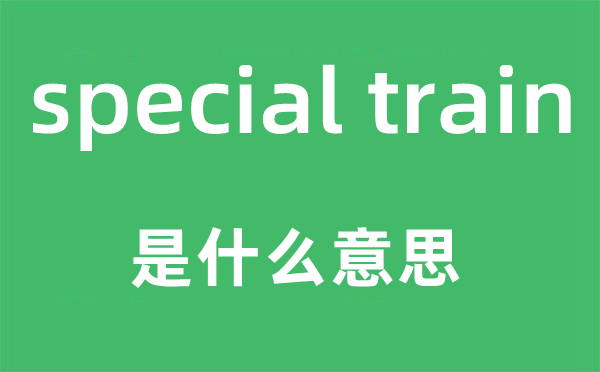 special train是甚么意义,中文翻译是甚么