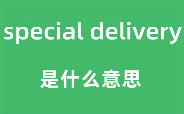 special delivery是甚么意义,中文翻译是甚么