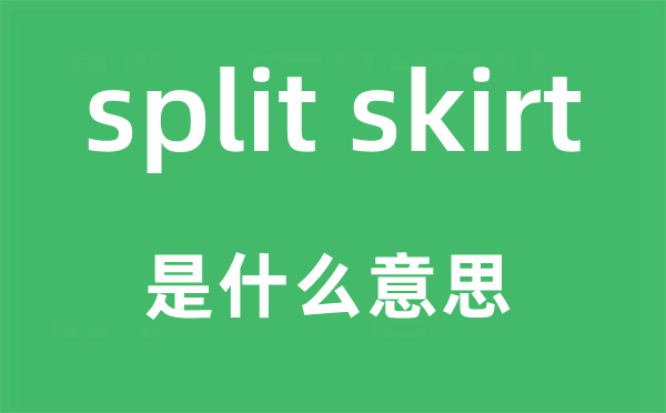 split skirt是甚么意义,中文翻译是甚么