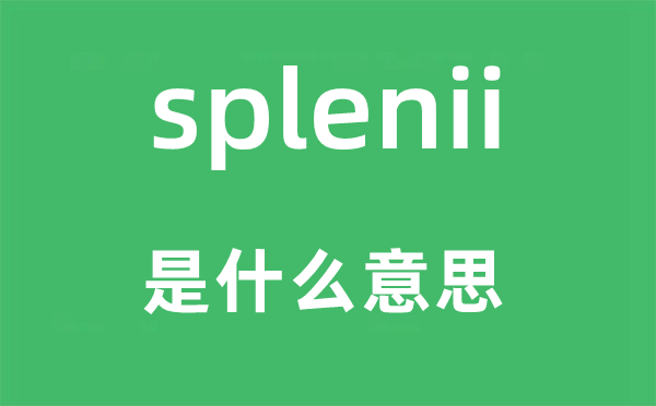 splenii是甚么意义,splenii怎样读,中文翻译是甚么