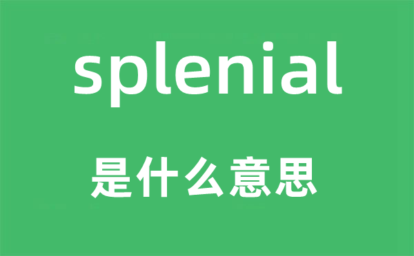 splenial是甚么意义,splenial怎样读,中文翻译是甚么