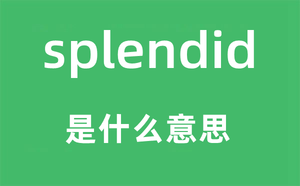 splendid是甚么意义,splendid怎样读,中文翻译是甚么