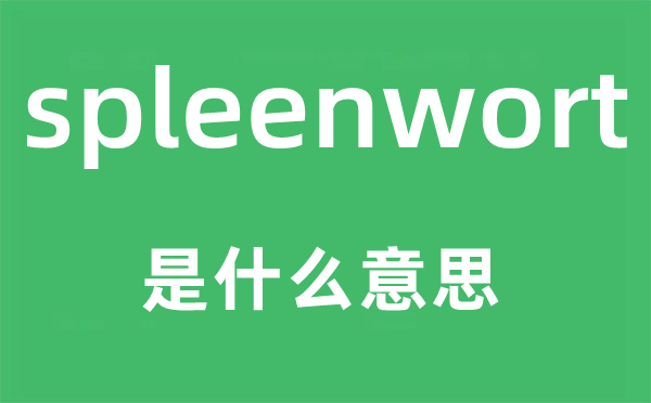spleenwort是甚么意义,spleenwort怎样读,中文翻译是甚么