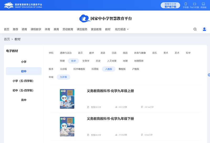 人教版九年级下册化学电子讲义讲义(PDF电子版)