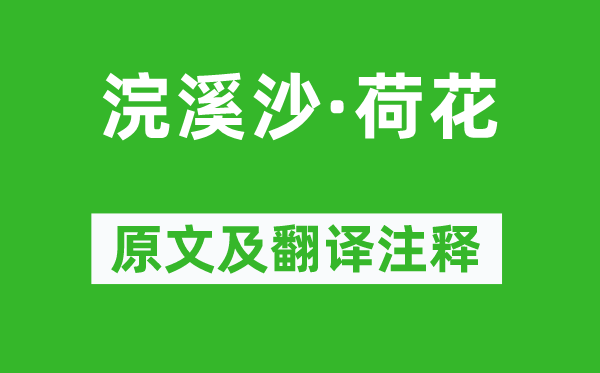 苏轼《浣溪沙·荷花》原文及翻译正文,诗意诠释