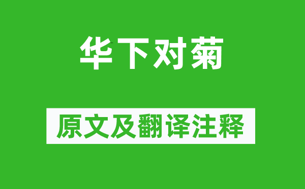 司空图《华下对菊》原文及翻译正文,诗意诠释