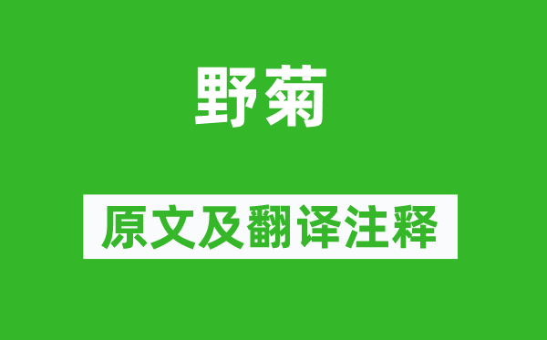 王建《野菊》原文及翻译正文,诗意诠释