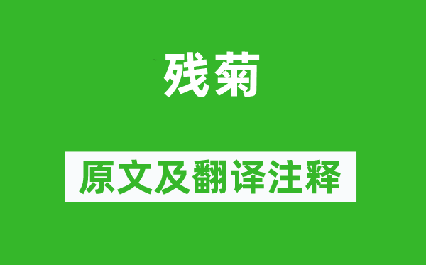 曹雪芹《残菊》原文及翻译正文,诗意诠释