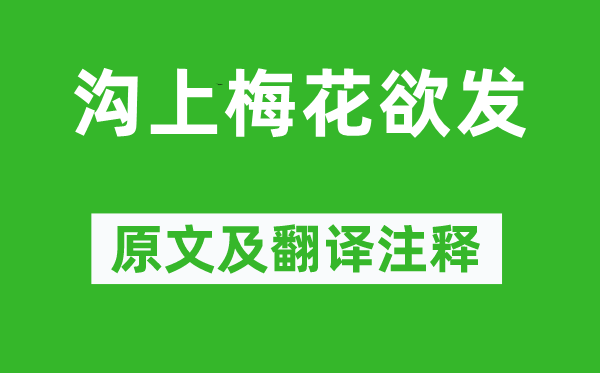 王安石《沟上梅花欲发》原文及翻译正文,诗意诠释