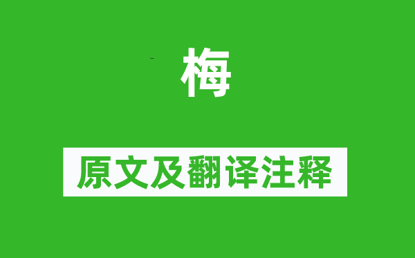 杜牧《梅》原文及翻译正文,诗意诠释