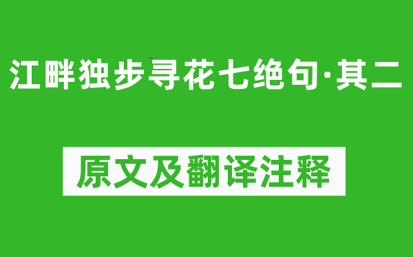 杜甫《江干独步寻花七绝句·其二》原文及翻译正文,诗意诠释