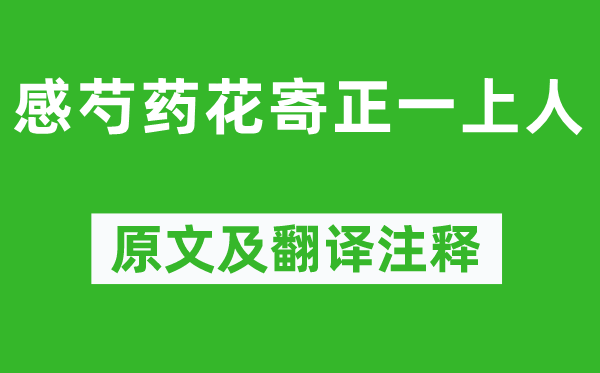 白居易《感芍药花寄正一上人》原文及翻译正文,诗意诠释