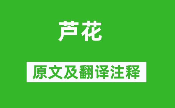 雍裕之《芦花》原文及翻译正文,诗意诠释