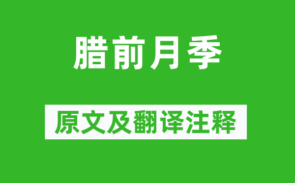 杨万里《腊前月季》原文及翻译正文,诗意诠释
