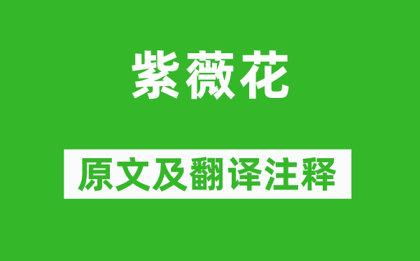 杜牧《紫薇花》原文及翻译正文,诗意诠释
