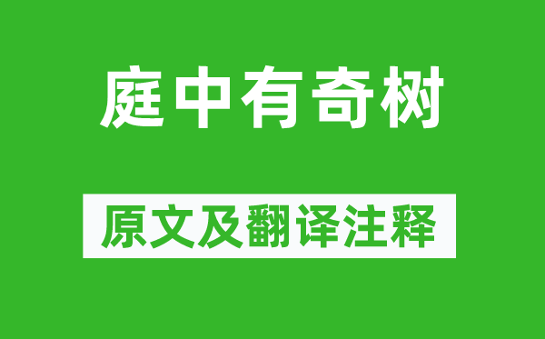 《庭中有奇树》原文及翻译正文,诗意诠释