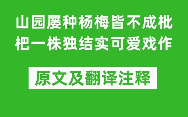 陆游《山园屡种杨梅皆不成枇杷一株独健壮心爱戏作》原文及翻译正文,诗意诠释