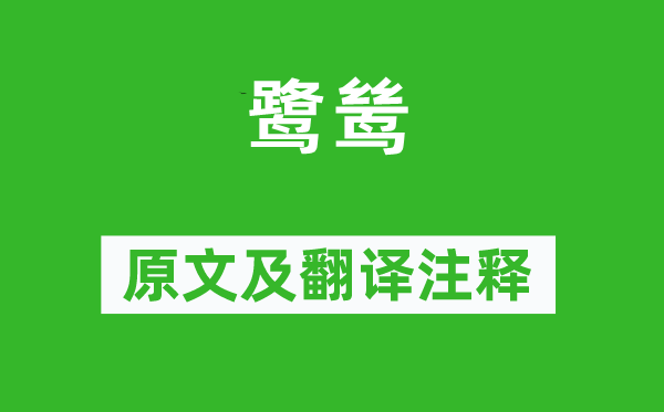 欧阳修《鹭鸶》原文及翻译正文,诗意诠释