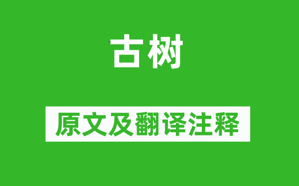 杜濬《古树》原文及翻译正文,诗意诠释