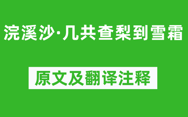 苏轼《浣溪沙·几共查梨到雪霜》原文及翻译正文,诗意诠释
