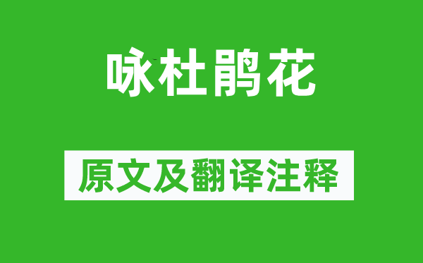 释择璘《咏杜鹃花》原文及翻译正文,诗意诠释