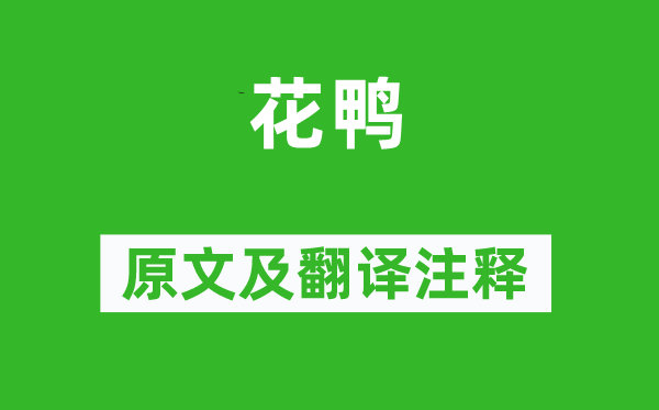 杜甫《花鸭》原文及翻译正文,诗意诠释