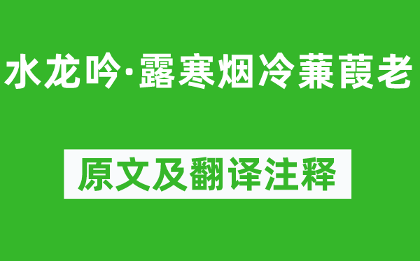 苏轼《水龙吟·露寒烟冷蒹葭老》原文及翻译正文,诗意诠释