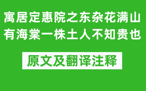 苏轼《居住定惠院之东杂花满山有海棠一株土着土偶不知贵也》原文及翻译正文,诗意诠释