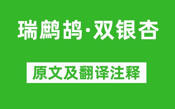 李清照《瑞鹧鸪·双银杏》原文及翻译正文,诗意诠释