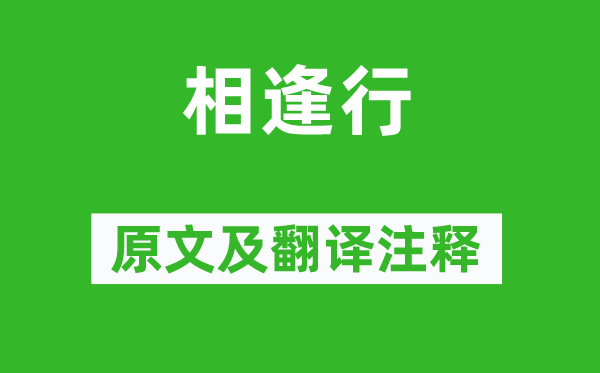《重逢行》原文及翻译正文,诗意诠释