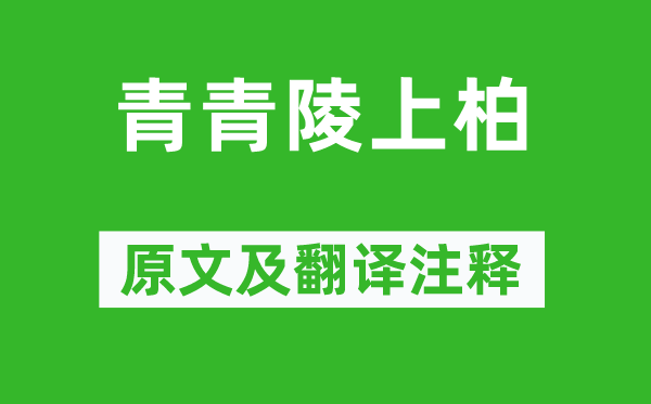 《青青陵上柏》原文及翻译正文,诗意诠释