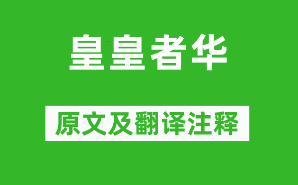 诗经·小雅《皇皇者华》原文及翻译正文,诗意诠释